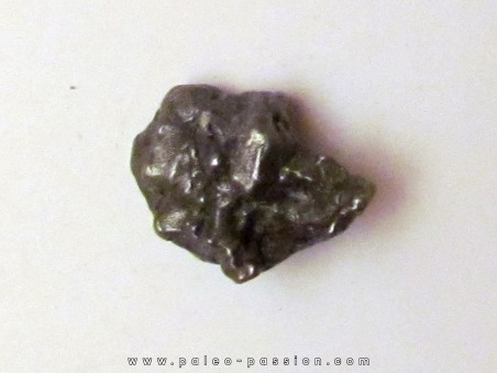 METEORITE  Campo del Cielo (CDC5) 