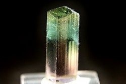 Tourmaline Elbaïte rose et verte - Lavra de Sapo, Ferruginha, Minas Gerais – Brésil