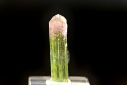 Tourmaline Elbaïte verte et rose - Cruzeiro mine, Minas Gerais – Brésil