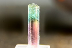 Tourmaline Elbaïte verte et rose - Cruzeiro mine, Minas Gerais – Brésil