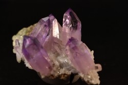 Quartz Amethyste  - Veracruz, Mexique