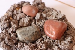 Gastrolith of  Dinosaur - Lower Cretaceous - Cloverly formation - Montana -USA