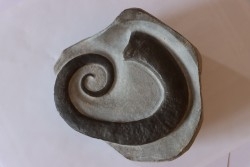 rare ammonite: LYTOCRIOCERAS  barremien  Provence,  FRANCE