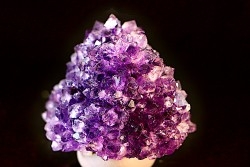belle druse d'AMETHYSTE - URUGUAY