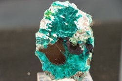 Belle dioptase sciée/poli  Mindouli, RD Congo