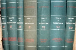 PIVETEAU: TRAITE DE PALEONTOLOGIE - TOME  VII : PRIMATE, PALEONTOLOGIE HUMAINE