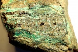 bois fossile avec  MALACHITE et CHRYSOCOLLE - portland formation - Lower Jurassique - Suffield, connecticut, USA