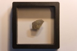 coquille d œuf de dinosaure à bec de canard: Maiasaura peeblesorum