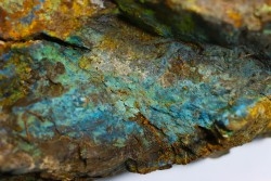 superbe bois fossile en azurite malachite