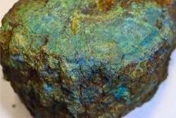 superbe bois fossile en azurite malachite