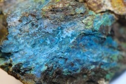superbe bois fossile en azurite malachite