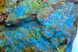 fossil wood with azurite malachite inclued