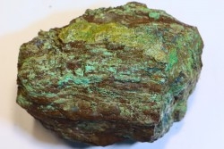 fossil wood with azurite malachite inclued