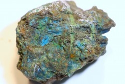 fossil wood with azurite malachite inclued