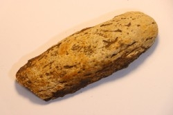 dinosaure freak: TRICERATOPS HORRIDUS