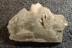 Gypsum crystal  with fossils seashell inclusion - Nouakchott, MAURITANIA