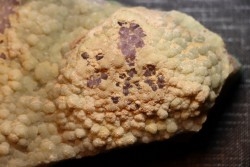 AMETHYSTE et FLUORITE botryoidale- Nancy Hanks Claim  Mesa Co., Colorado -USA