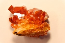 VANADINITE sur BARYTE// Mibladen, Morocco