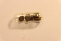 METEORITE CHONDRITE FRANCONIA - CHONDRITE H5 - ORIGINE: ARIZONA, USA