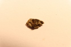 METEORITE CHONDRITE FRANCONIA - CHONDRITE H5 - ORIGINE: ARIZONA, USA