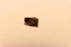 METEORITE CHONDRITE FRANCONIA - CHONDRITE H5 - ORIGINE: ARIZONA, USA