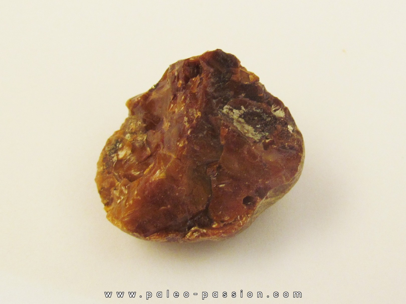 AMBER fossile d'ARCHINGEAY (4)
