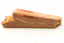 PTEROSAUR partial rostrum: ALANQA SAHARICA - CENOMANIAN - Kem Kem , Morocco