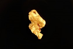 gold nugget - Kalgoorlie, Australia