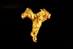 gold nugget - Kalgoorlie, Australia