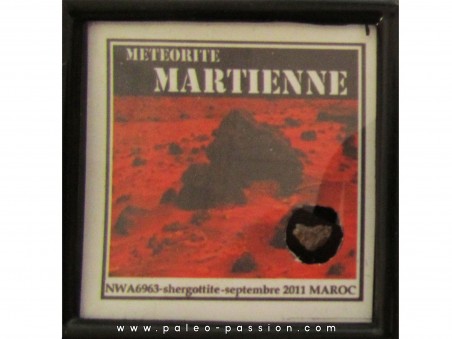 Météorite MARTIENNE NWA 6963 (6) 