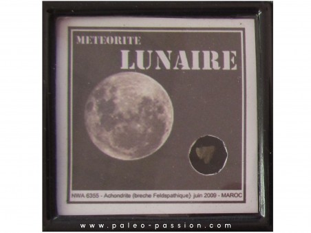 Météorite LUNAIRE NWA 6355 (6) 