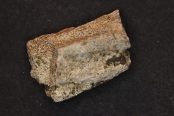 Dinosaure: fragment de collerette de TRICERATOPS HORRIDUS - Hell Creek  Fmt - crétacé sup. - Glendive County, Montana