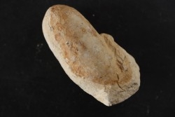 CROCODIL EGG: CROCODILIENOVUM MINOR - Lutetian - Bouxwiller - FRANCE