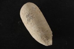 CROCODIL EGG: CROCODILIENOVUM BUXOWILLANUM - Lutetian - Bouxwiller - FRANCE