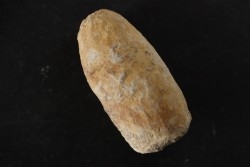 CROCODIL EGG: CROCODILIENOVUM BUXOWILLANUM - Lutetian - Bouxwiller - FRANCE