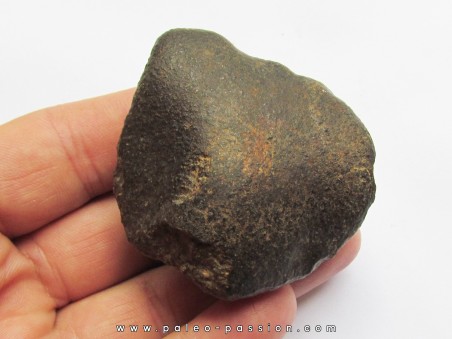 METEORITE CHONDRITE ORDINAIRE NWA (8)