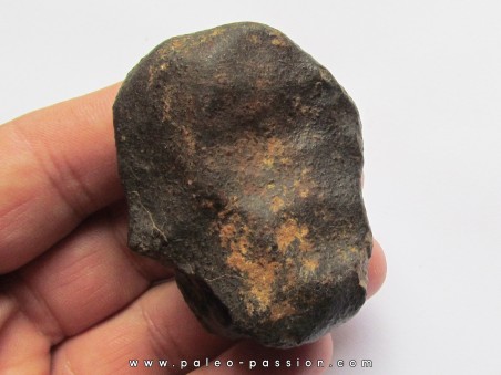 METEORITE CHONDRITE ORDINAIRE NWA (10)