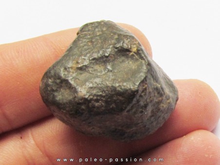 METEORITE CHONDRITE ORDINAIRE NWA (12)