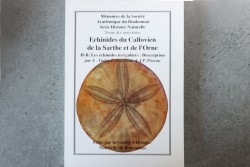 MSAB - A. Vadet & alii, 1998  Echinides du Callovien de la Sarthe et de l'Orne  Partie 2b: Les échinides irréguliers