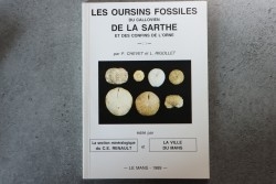 P Chevet & L Rigollet, 1989 :  Les oursins fossiles du Callovien de la Sarthe et des confins de l'Orne