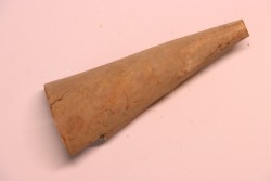 Mammoth ivory - Alaska, USA