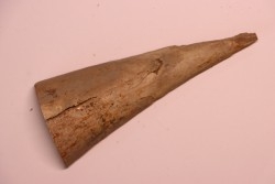 IVOIRE DE MAMMOUTH - Alaska, USA