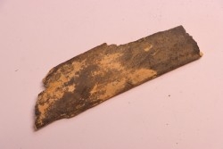 Mammoth ivory - Alaska, USA