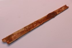 PTEROSAUR partial rostrum: ALANQA SAHARICA - CENOMANIAN - Kem Kem , Morocco