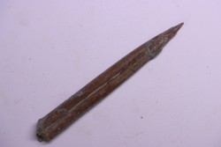 bélemnite:  Belemnopsis fusiformis - Bathonian - Normandy, France