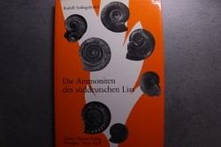 Schlegelmilch Rudolf, 1976 - Die Ammoniten des Suddeutschen Lias  - Gustav Fischer Verlag - Stuttgart - New York