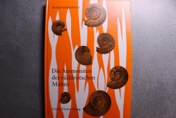Schlegelmilch Rudolf, 1994 - Die Ammoniten des Suddeutschen Malms - Gustav Fischer Verlag - Stuttgart - New York