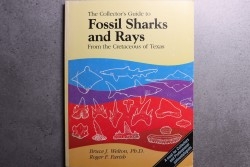 Bruce J. & alii - The collector's guide Fossil Sharks and Rays from the Cretaceous of Texas