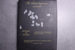 Chinnici: THE SILURIAN EXPERIENCE - 2015