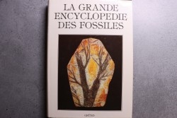 La grande encyclopedie des fossiles - édition GRUND